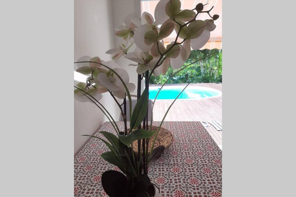 Апартаменты Les Orchidees Пети-Бур Экстерьер фото
